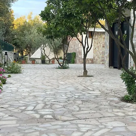 Garden *