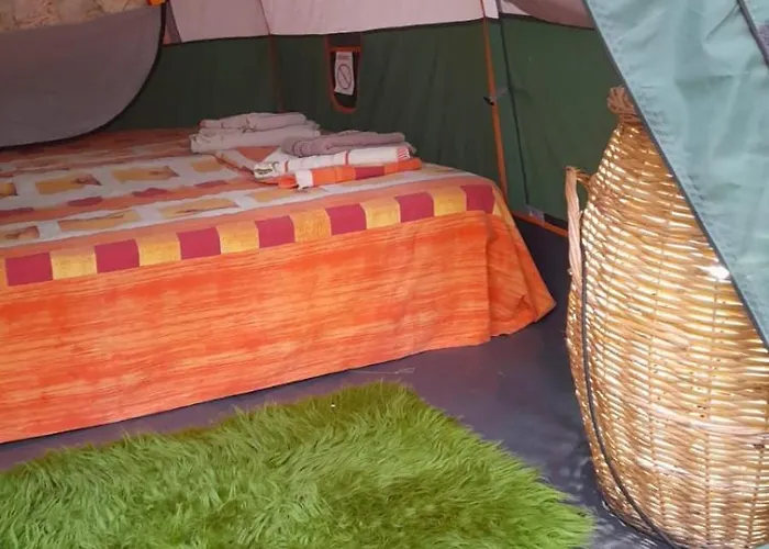 Garden 豪华帐篷 *