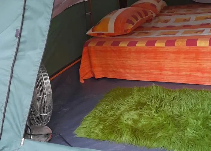 Campo de lujo Garden *