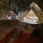 Garden *