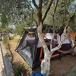 Garden خيمة فخمة