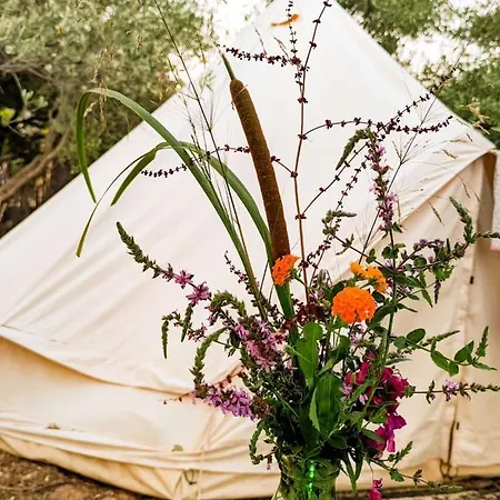 Garden Luxury tent *