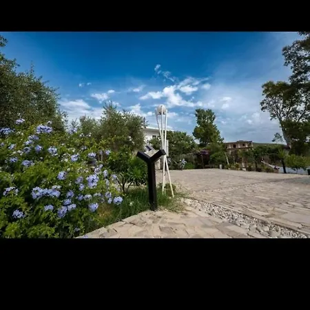Garden *