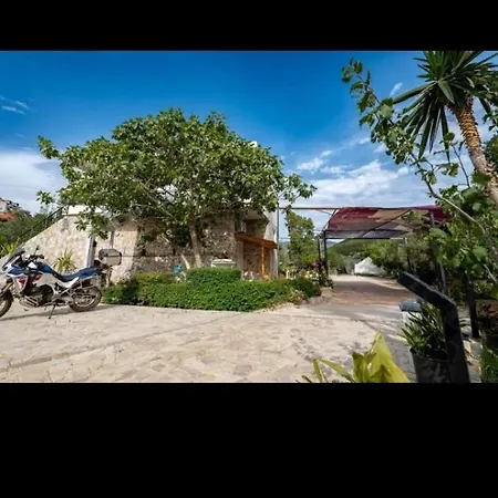 خيمة فخمة Garden