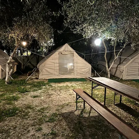Luxury tent Garden Ksamil