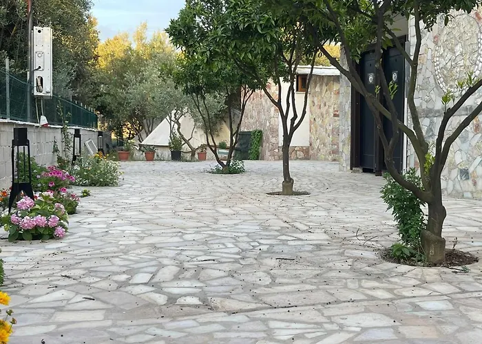 Garden *